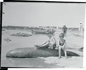 Small Boys Sitting on Back of Baby Whale