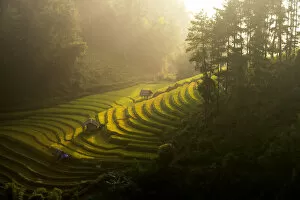 Images Dated 26th September 2014: Small cottages and the rice terrace