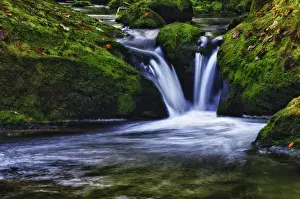 Small creek in a forest with a waterfall, Bavarian Forest National Park, Bavaria, Germany, Europe