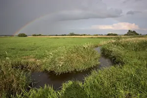 Phenomenon Prints: Small creek with rainbow, Wuemmewiesen nature reserve, Bremen, Germany, Europe