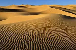 Images Dated 18th November 2011: Small erg or sand dunes near Tehenadou, Adrar nAhnet, Algeria, Sahara, North Africa