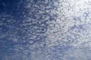 Images Dated 10th September 2014: Small fluffy clouds, Cirrocumulus