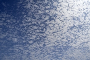 Images Dated 10th September 2014: Small fluffy clouds, Cirrocumulus