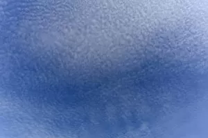 Images Dated 8th September 2014: Small fluffy clouds, Cirrocumulus