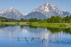 Prints of Small lake in Grand Teton National Park, Wyoming, USA Nature's Majesty: Grand Teton National Park's breathtaking beauty captured: Small lake in Grand Teton National Park, Wyoming, USA