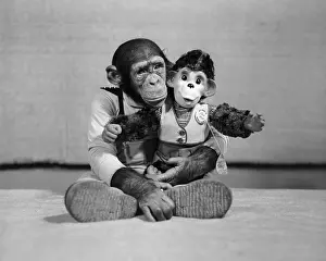 Chimpanzee Prints: Small Monkey Holding Stuffed Monkey