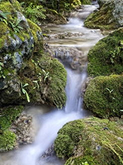 Ravine Collection: Small mountain torrende between waterfalls