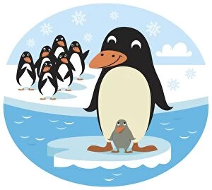 Images Dated 4th September 2006: Smiling adult Penguin and chick standing on small ice floe, group of Penguins behind them on icy