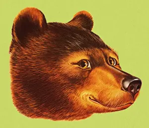 Facial E Prints: Smiling Bear