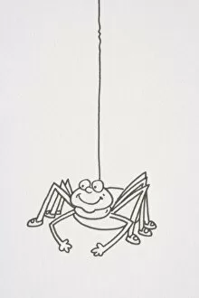 Smiling spider hanging from a thread, front view