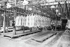 Hulton Archive Gallery: Smithfield Market
