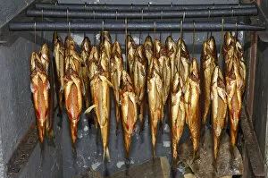 Images Dated 28th May 2010: Smoked trout hanging in a smokehouse, Fuschl, Austria, Europe