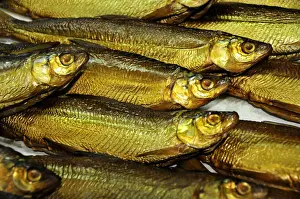 Trout Prints: Smoked Whitefish (Coregonus hoferi) in the fish shop of the fisherman Thomas Lex on Fraueninsel
