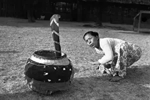 Stree Prints: Snake Charmer