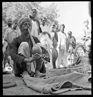 Cobra Prints: Snake Charmer Charming His Cobra