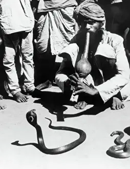 Respect Prints: Snake Charmer Hypnotizing Snake