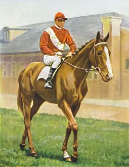 Racetrack Prints: Snake Lightning. Jockey: T. Hawcroft