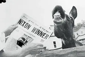 Snarling Donkey Besides Republican Victory Headlines