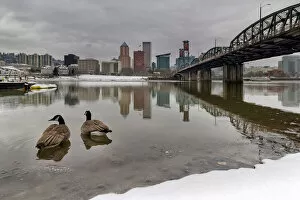 Images Dated 3rd January 2016: Snow along banks of Willamette River