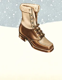 Images Dated 26th February 2015: Snow boot