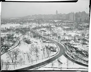 Snow in Central Park