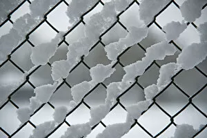 Images Dated 6th February 2013: Snow on a chain link fence