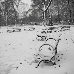 Snow covered benches in Prospect Park, Brooklyn, New York