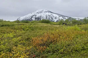 Snow-covered Vindbelgjarfjall mountain, Skutustaoir, Northeastern Region, Iceland