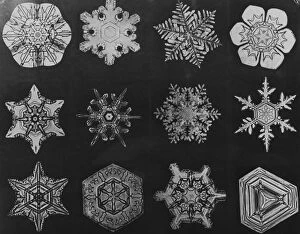 Images Dated 9th July 2010: Twelve Snow Crystals