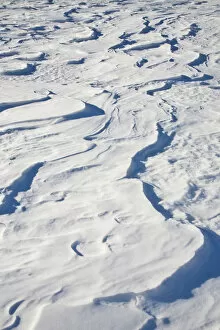 Images Dated 3rd February 2011: Snow drift, waves, wavy, Vorarlberg, Austria, Europe