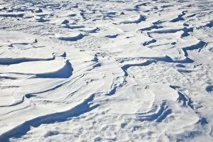 Images Dated 3rd February 2011: Snow drift, waves, wavy, Vorarlberg, Austria, Europe