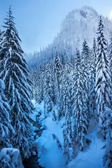 Images Dated 30th December 2012: Snowcapped mountain and trees, Snoqualmie Pass, Washington State, USA