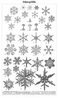 Images Dated 24th July 2016: Snowflakes 1895