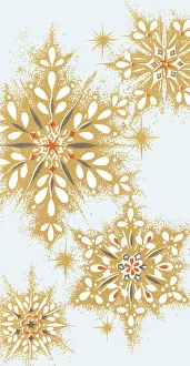 Images Dated 31st March 2015: Snowflakes