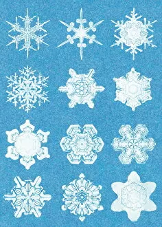 Images Dated 8th August 2003: Snowflakes