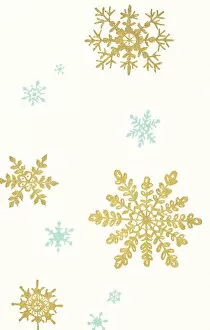 Images Dated 2nd October 2003: Snowflakes