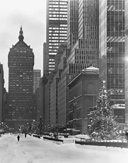 Christmas Lights Prints: Snowy city street with christmas tree