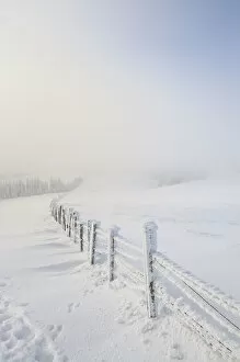 Images Dated 23rd January 2010: Snowy fence, Mt. Unterberg, Lower Austria, Austria, Europe