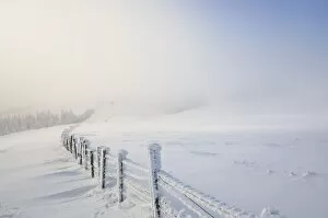 Snowy fence, Mt. Unterberg, Lower Austria, Austria, Europe
