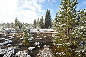 Images Dated 23rd September 2017: Snowy landscape with West Thumb Geyser Basin in winter, Yellowstone National Park, Wyoming, USA