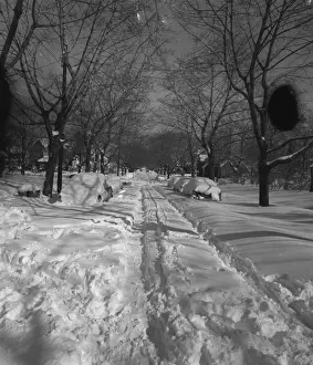Residential Prints: Snowy residential street