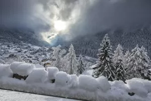 Snowy woods Filisur Switzerland