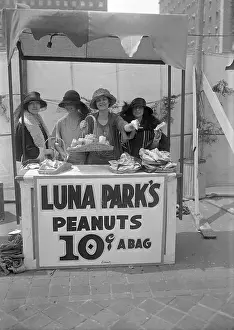 Fundraiser Prints: Society Women Selling Peanuts at Benefit Fair