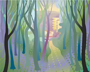 Images Dated 7th February 2012: Soft undulating forest with path