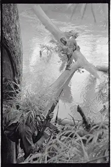 Plei Me Prints: Soldier Crossing Stream on Fallen Tree