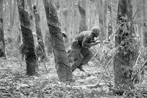 Rubber Tree Prints: Soldier Moving Among Rubber Tress