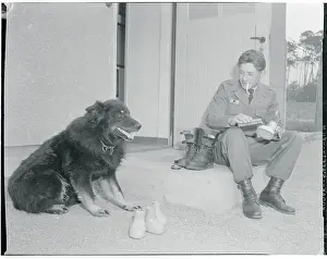 Soldier Polishing His Dog's Shoes