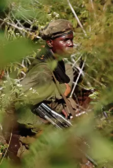 Soldier Standing in the Brush