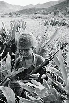 Soldier in Tall Grass
