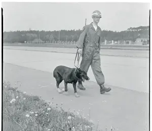 Soldier Walking with a German Shepherd Dog
